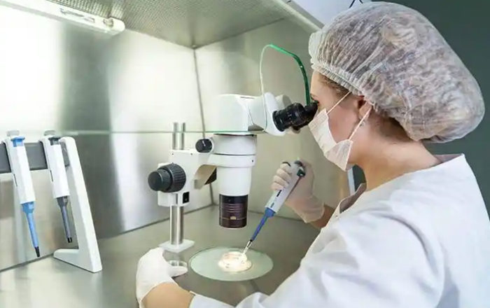 试管婴儿，专注解决不孕不育难题