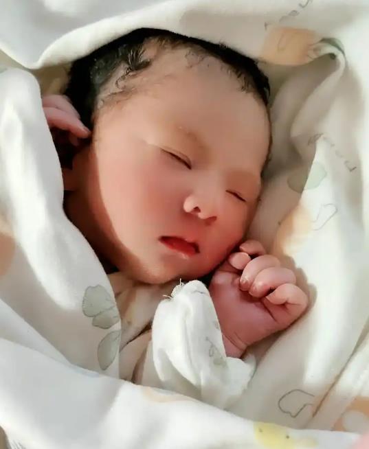 死精可以做试管婴儿吗